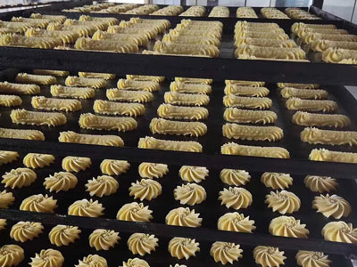 Линия производства печенья (мягкого)